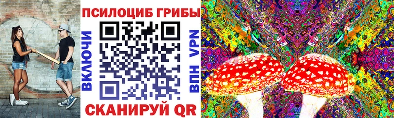 Купить  Симферополь  Псилоцибиновые грибы MAGIC MUSHROOMS 