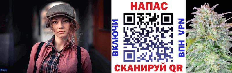 Купить где  Симферополь  Конопля гибрид 
